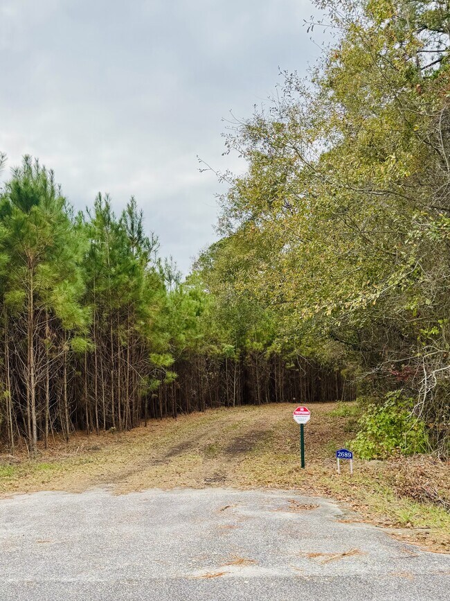 Building Photo - 2689 Fowler School Rd