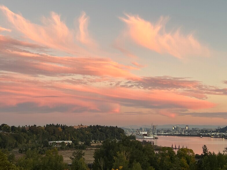 View to the south over downtown - 7511 N Edgewater Ave
