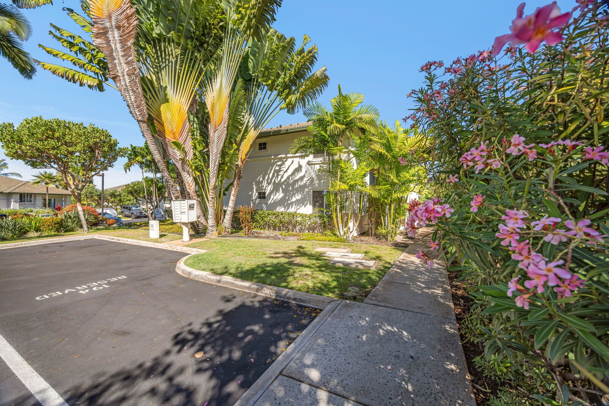 Building Photo - 3950 Kalai Waa St