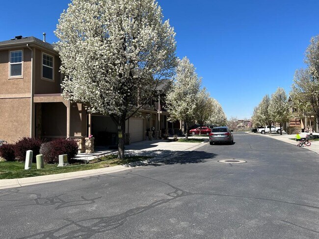 Building Photo - 11006 Maple Forest Way