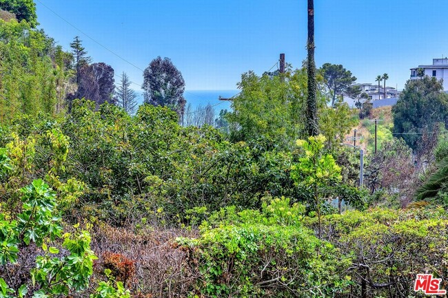 Building Photo - 501 Palisades Dr