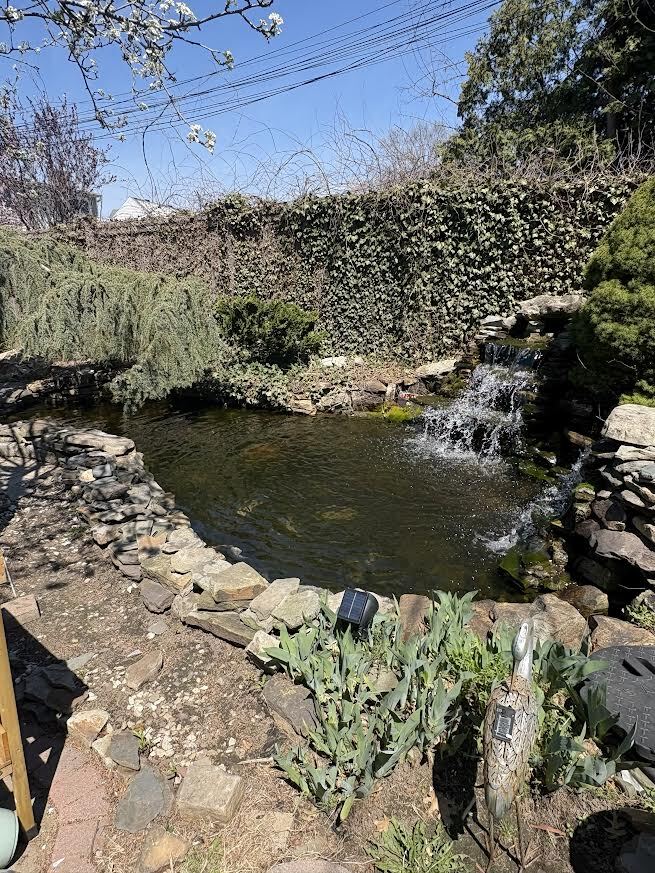 Pond - 114 Greenway Blvd