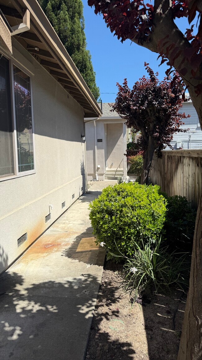 Building Photo - 1019 Castro St