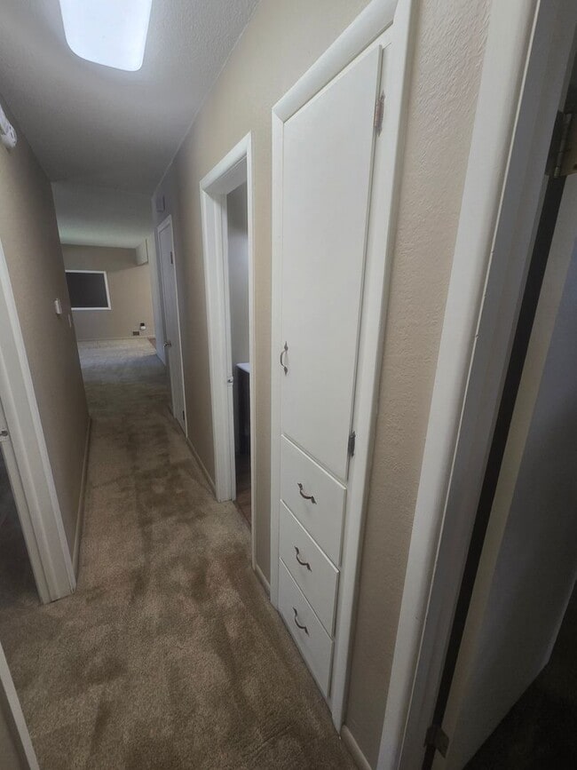 Building Photo - Rural 3 Bedroom Home in Fort Collins with Attached Garage and HUGE Yard Now Available! NO HOA!
