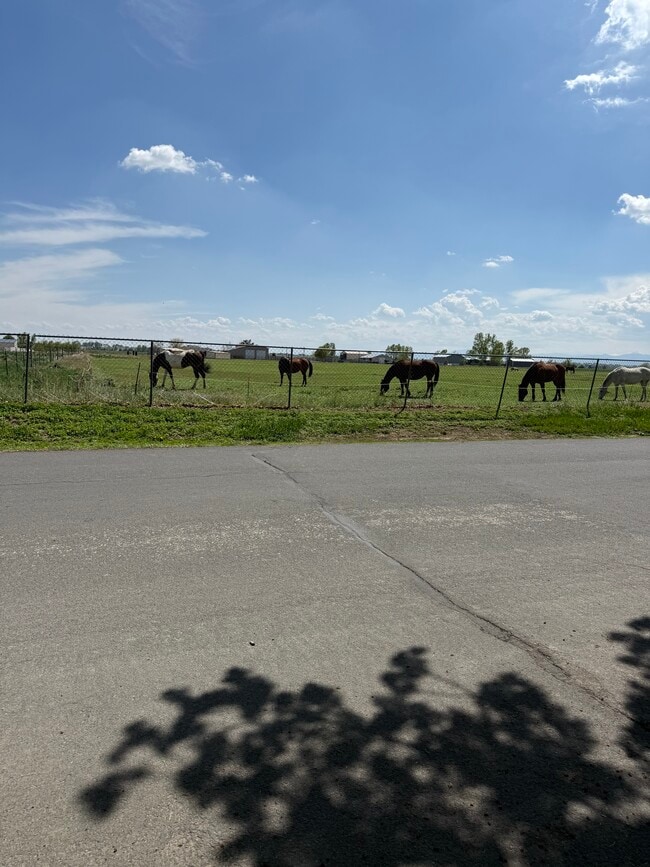 Building Photo - 304 E Nebraska Ave