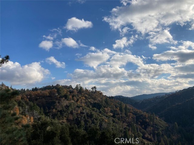 Building Photo - 1620 Edgecliff Dr