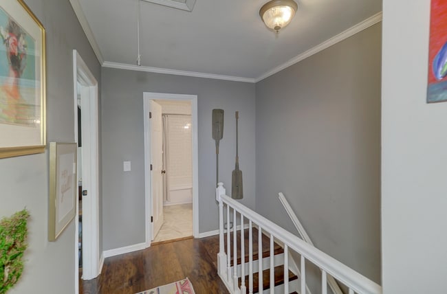 Building Photo - Beautiful Mt. Pleasant Home!