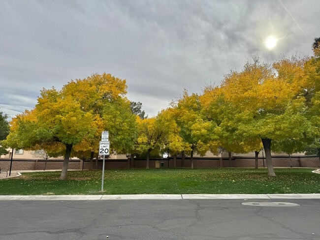Building Photo - Spacious Living, Granite Counters, Great Location!