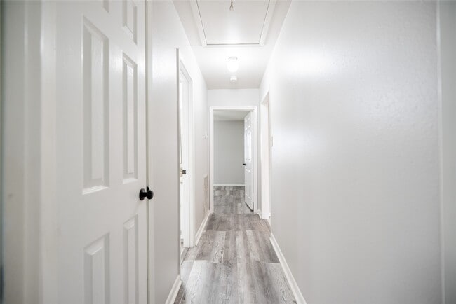 Building Photo - 3050 Orange St