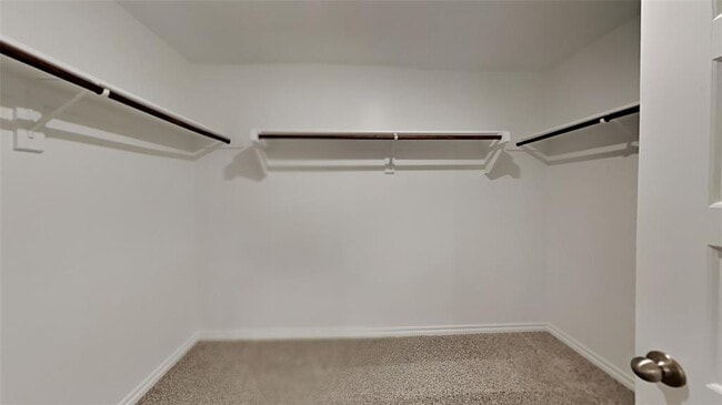 Building Photo - 4413 Palmetto Blf Dr