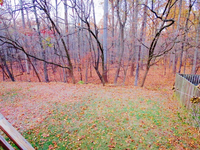 Building Photo - 13671 Cedar Creek Ln