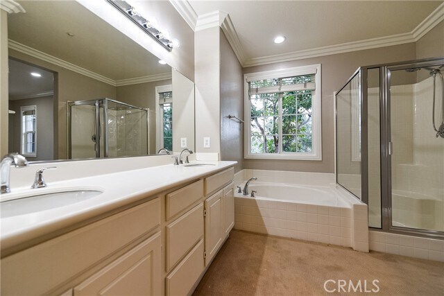 Building Photo - 41 Idyllwild