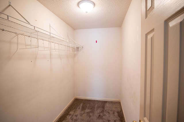 Building Photo - 1732 Oakdale Terrace Blvd