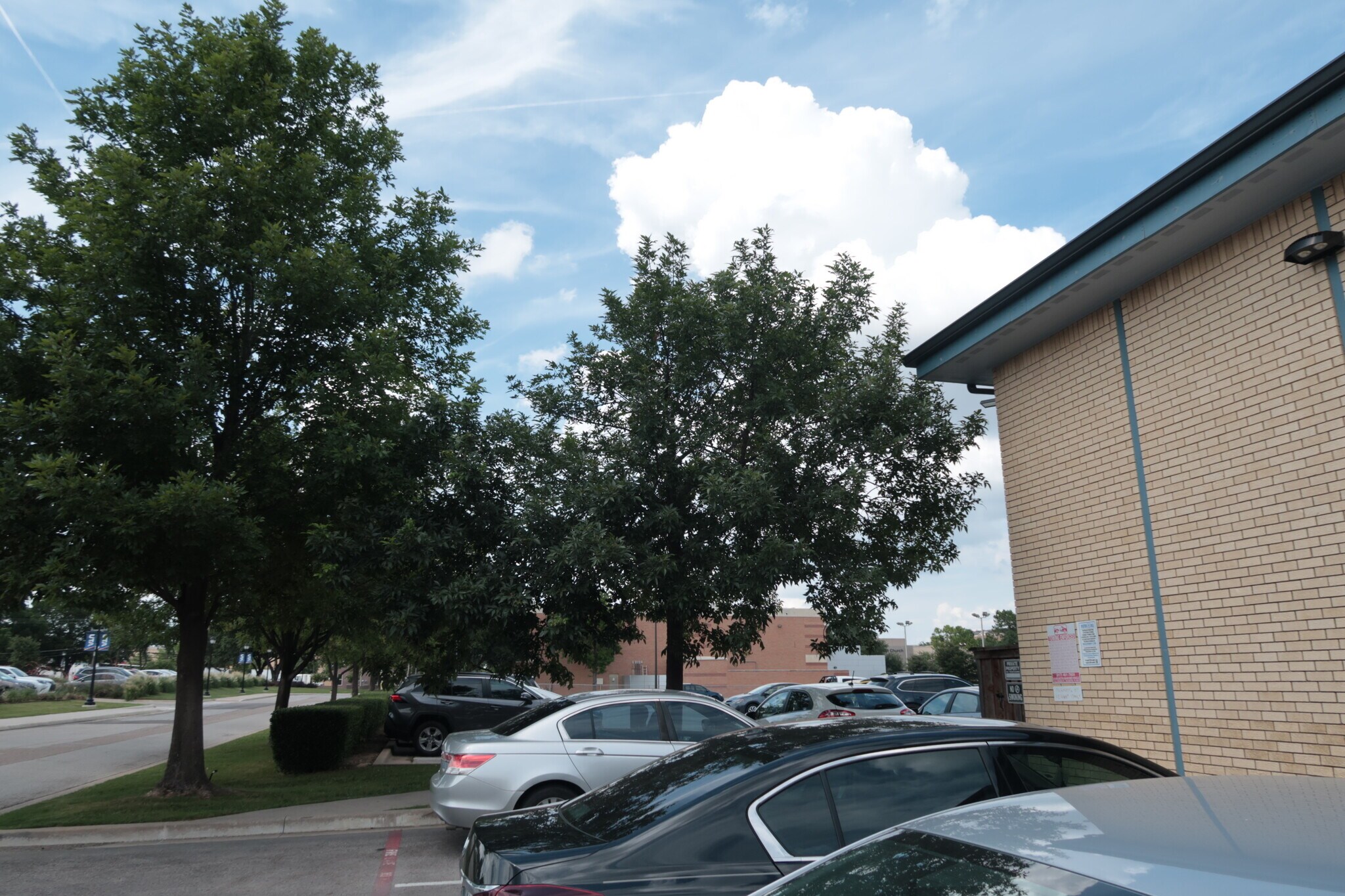 Building Photo - 425 S Oak St