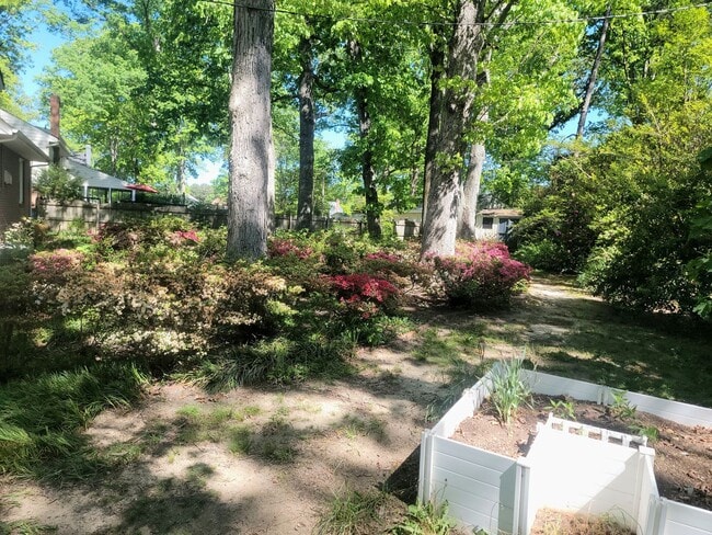 Building Photo - Delightful 3 Bedroom Home for Rent in Henrico