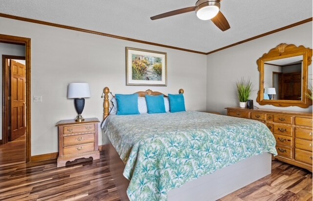 Building Photo - 2104 Las Flores Ln