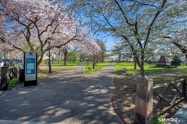 Building Photo - 548 Chapel St