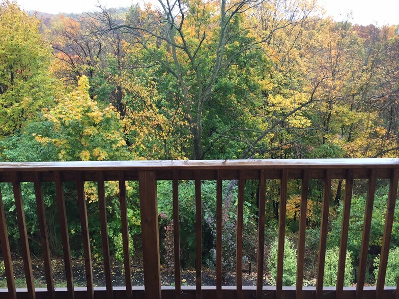 Building Photo - 42 Maple St