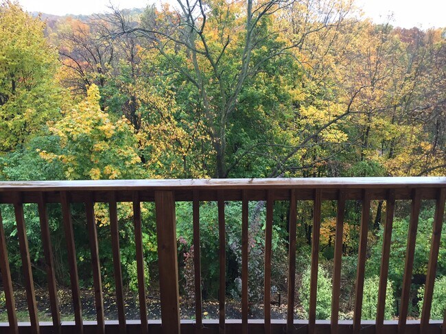 Building Photo - 42 Maple St