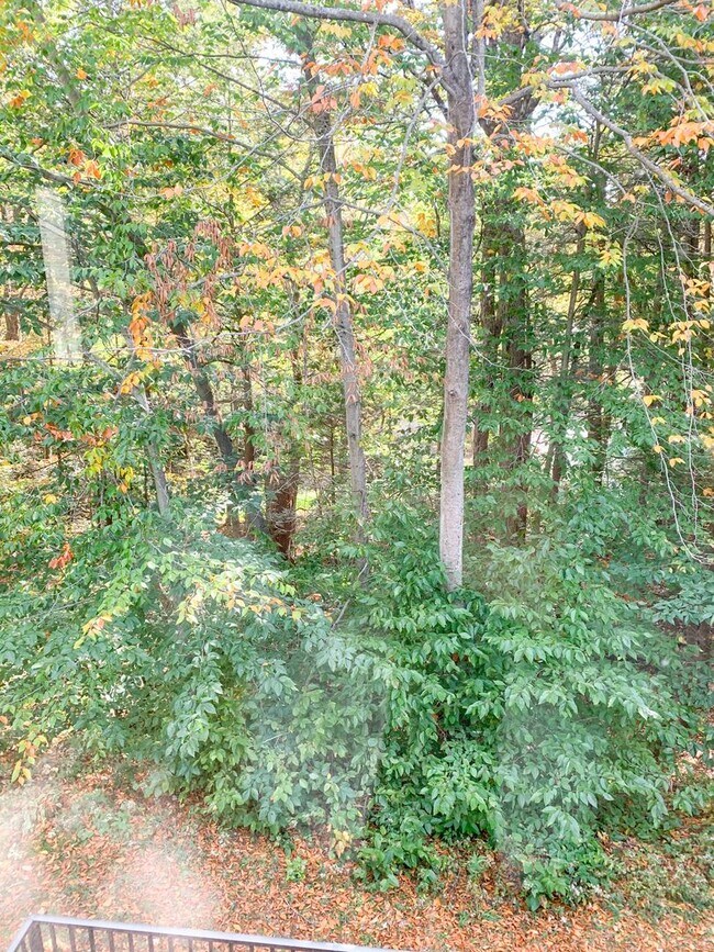 Building Photo - 3 Bedroom Condo Available for Aug. 1st