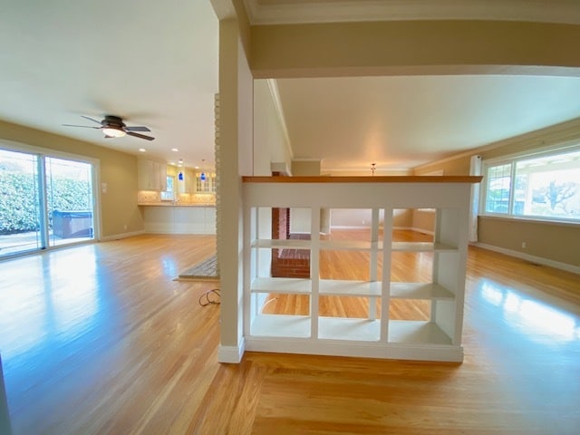 Building Photo - 3799 El Campo Ct