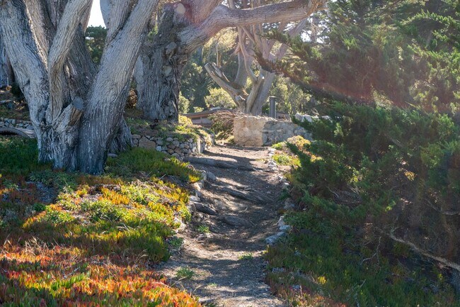 Building Photo - Bonnie's Point | Home Next to Point Lobos State Natural Reserve