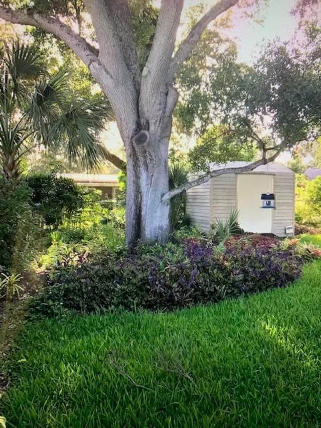 Shed in Backyard - 3623 S Lightner Dr