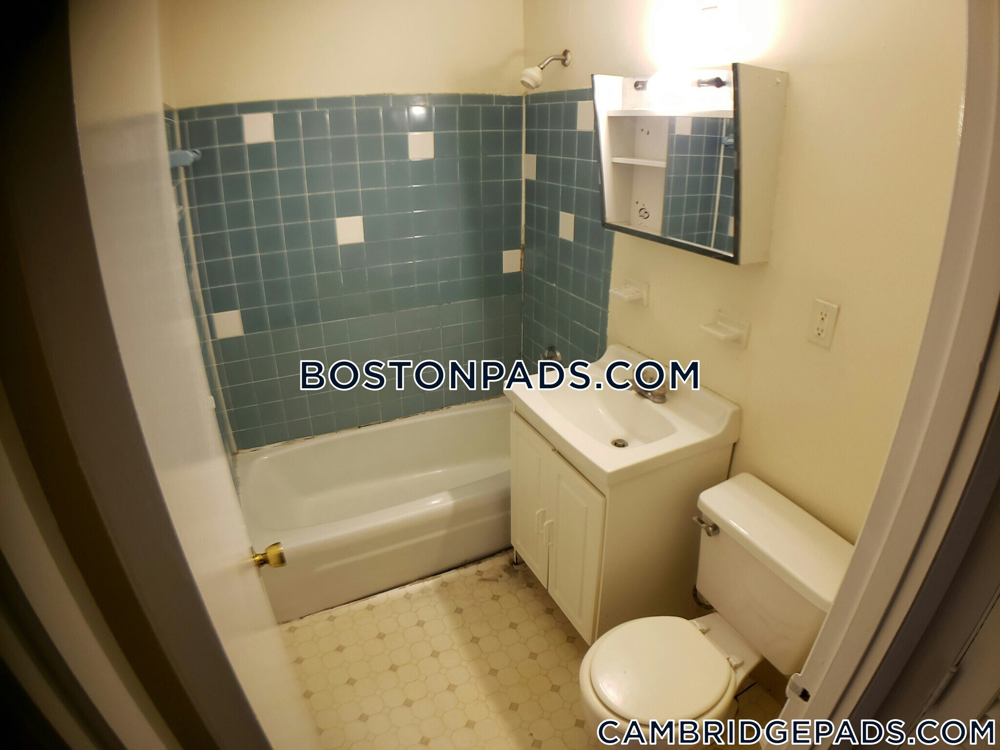 Building Photo - 66 Homer Ave