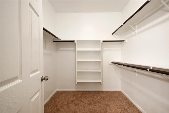 Building Photo - 12917 Leatherback Ln
