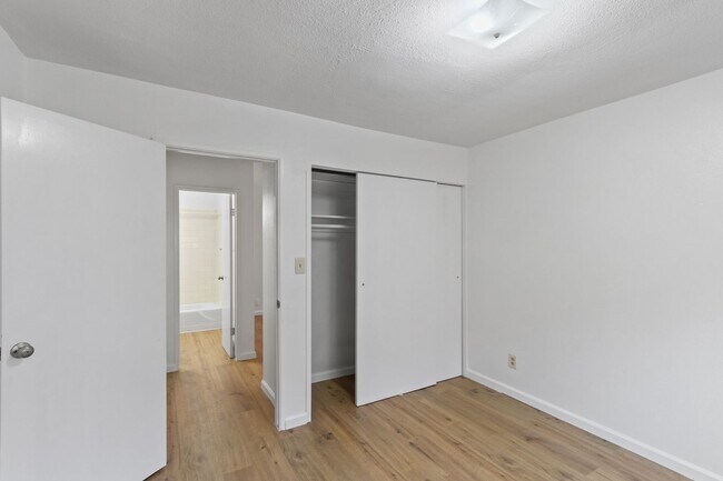 Interior Photo - Vista Palmera