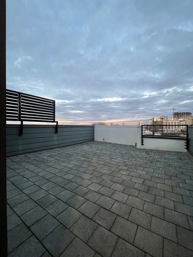 Rooftop - 418 Southend Crossing Ln