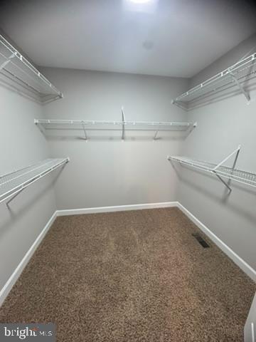 Building Photo - 5801 Winding Oaks Ct