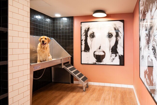 Building Photo - One Bedroom Rear Facing w Patio (1st Floor), Balcony 2 & 3