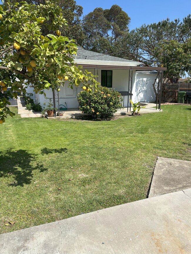 Back Yard - 4477 Harding Ave