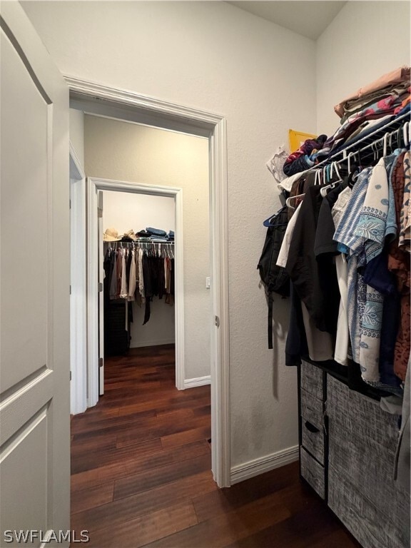 Building Photo - 4284 Raffia Palm Cir