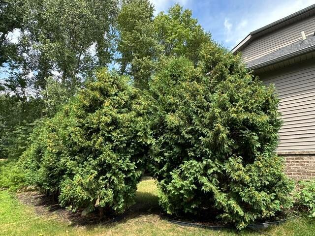 Building Photo - 2708 Trillium Hills Dr