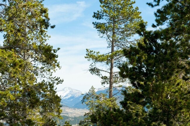 Building Photo - Long Term Rental- Treehouse Condos 302C