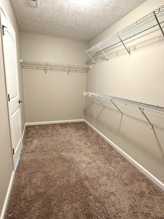 Building Photo - 6311 Jacobs Creek Cir
