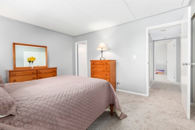 main bedroom - 5S066 Pebblewood Ln