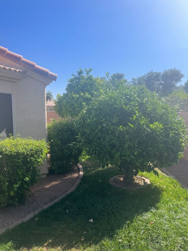 Building Photo - 55+ 2 Bed 2 bath home!