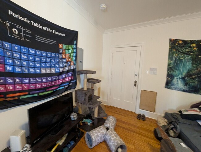 Building Photo - Renovated Studio in Heart of Rogers Park LUC