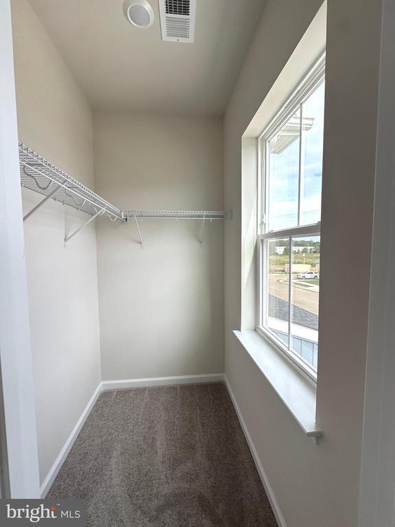 Building Photo - 26 Trout Lily Dr
