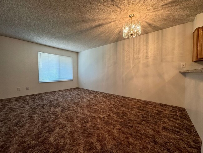 Building Photo - Great Studio Condo
