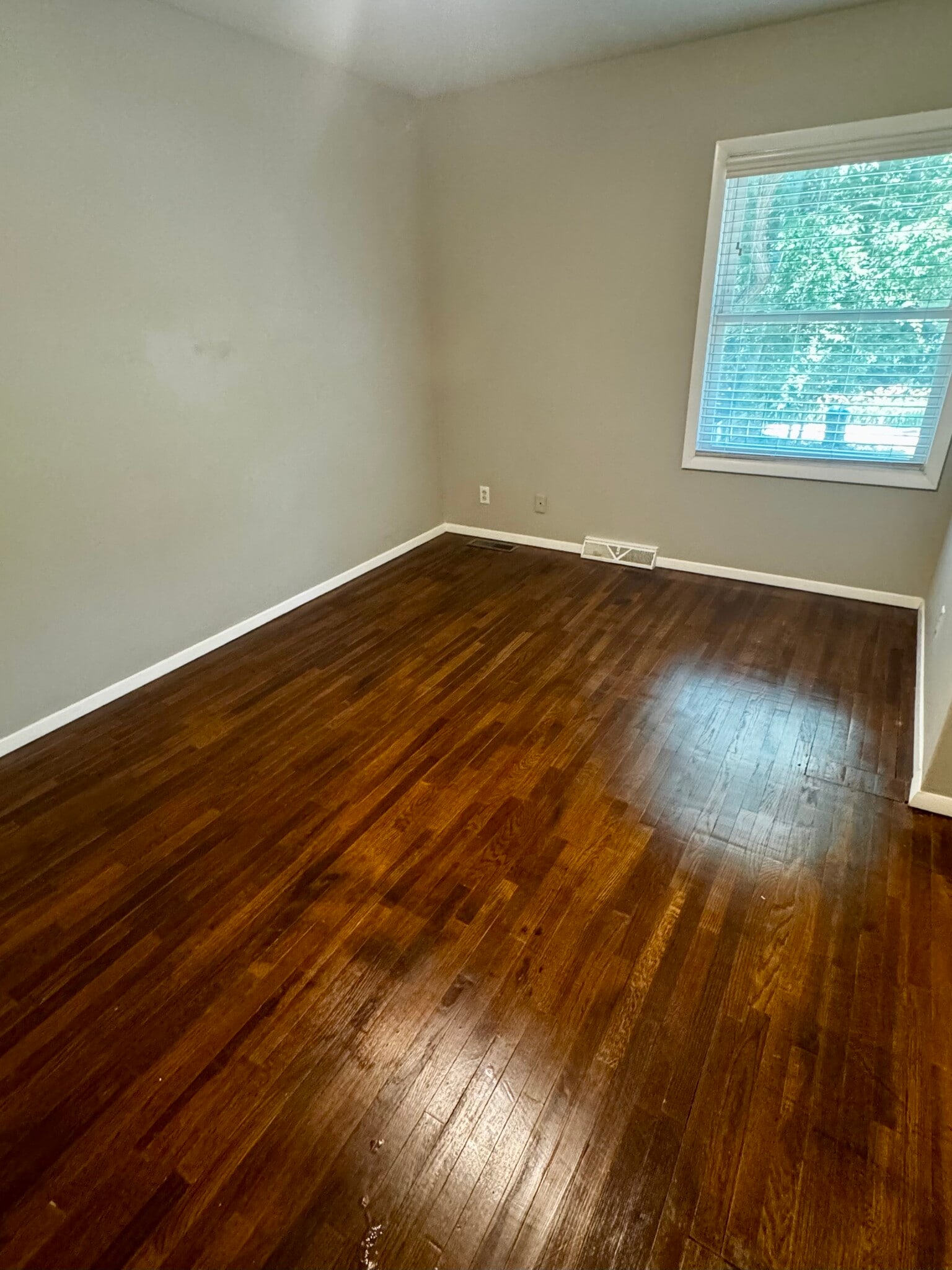 Bedroom 1 - 45 Whites Plz