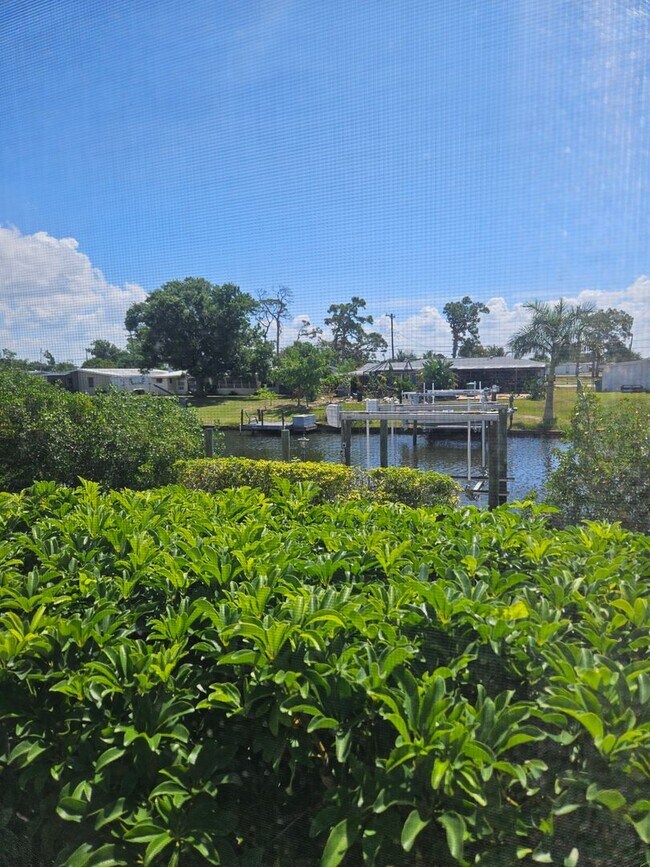 Building Photo - Port Charlotte Waterfront salt water pool annual rental