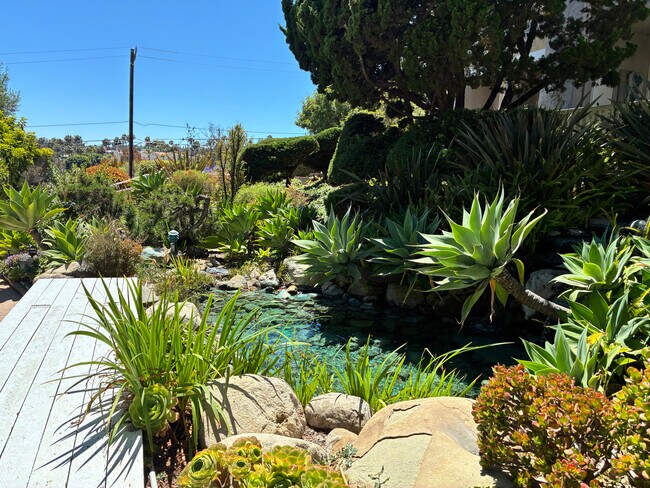 Building Photo - 28218 Rey De Copas Ln