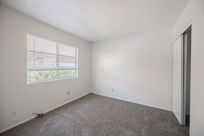 Building Photo - 2019 W Lemon Tree Pl