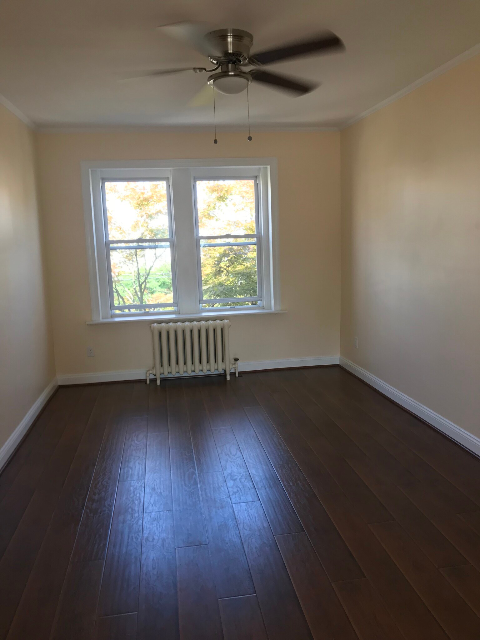 Building Photo - 533-2 Gerhard St