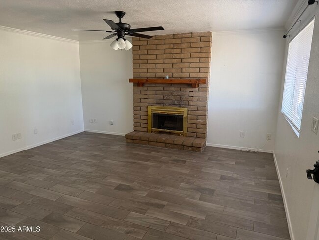 Building Photo - 1101 Cholla Cir