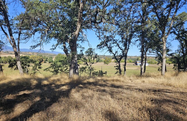 Building Photo - Spacious Home in the Country!